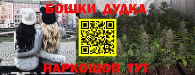 МДПВ Камышлов